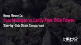 Pure Michigan vs Candy Pave THCa Flower: Side-by-Side Strain Comparison